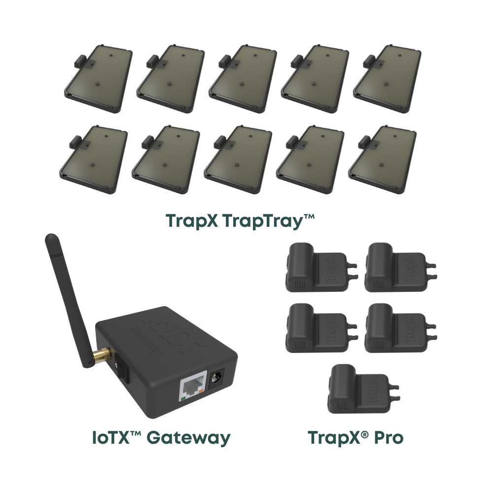 AttiX™ – Complete Long-Range Smart Rodent Detection Bundle